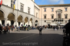 Viterbo - Sant\'Antonio abate - 150 cavalli per le vie della città