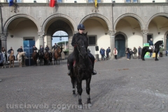 Viterbo - Sant\'Antonio abate - 150 cavalli per le vie della città