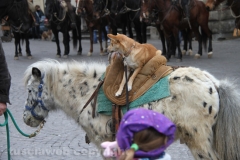 Viterbo - Sant\'Antonio abate - 150 cavalli per le vie della città