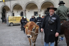 Viterbo - Sant\'Antonio abate - 150 cavalli per le vie della città