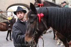 Viterbo - Sant\'Antonio abate - 150 cavalli per le vie della città