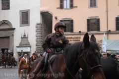 Viterbo - Sant\'Antonio abate - 150 cavalli per le vie della città