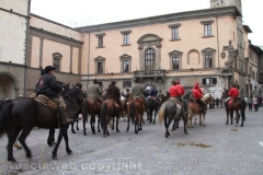 Viterbo - Sant\'Antonio abate - 150 cavalli per le vie della città