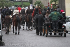 Viterbo - Sant\'Antonio abate - 150 cavalli per le vie della città