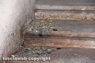 25 aprile, la città è sporca