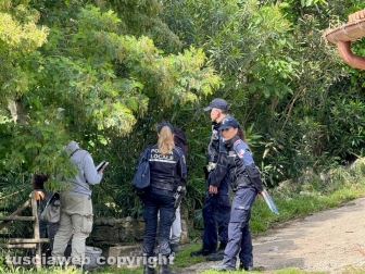Viterbo - 31 cani sequestrati e salvati dalla Asl e dalla polizia locale