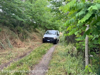 Viterbo - 31 cani sequestrati e salvati dalla Asl e dalla polizia locale - Uno dei furgoni per il trasferimento dei cani