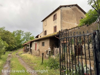 Viterbo - 31 cani sequestrati e salvati dalla Asl e dalla polizia locale