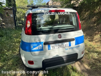 Viterbo - 31 cani sequestrati e salvati dalla Asl e dalla polizia locale