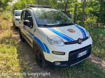Viterbo - 31 cani sequestrati e salvati dalla Asl e dalla polizia locale