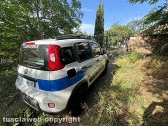 Viterbo - 31 cani sequestrati e salvati dalla Asl e dalla polizia locale