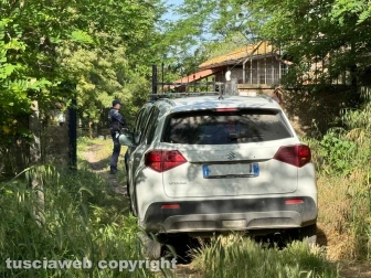 Viterbo - 31 cani sequestrati e salvati dalla Asl e dalla polizia locale