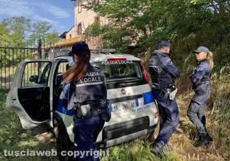 Viterbo - 31 cani sequestrati e salvati dalla Asl e dalla polizia locale