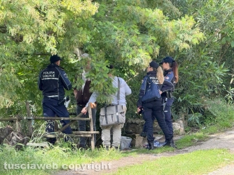 Viterbo - 31 cani sequestrati e salvati dalla Asl e dalla polizia locale