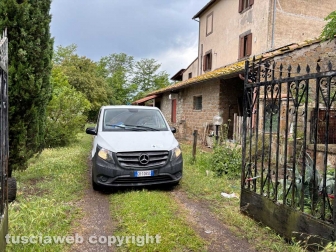 31 cani sequestrati e salvati dalla Asl e dalla polizia locale