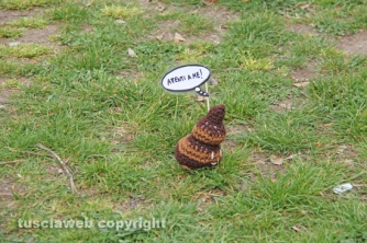 600 gomitoli per salvare Pratogiardino