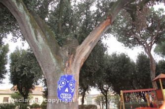 600 gomitoli per salvare Pratogiardino