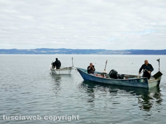 Marta - Il ripopolamento del lago di Bolsena con gli avannotti di coregone
