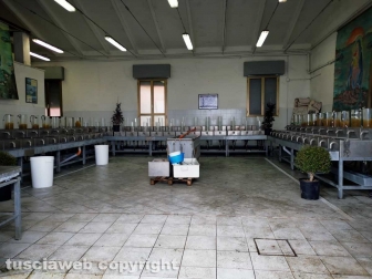 Marta - Il ripopolamento del lago di Bolsena con gli avannotti di coregone - L'incubatore