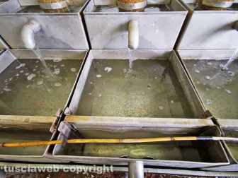 Marta - Il ripopolamento del lago di Bolsena con gli avannotti di coregone - L'incubatore