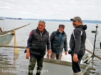 8milioni di avannotti di coregone nel lago di Bolsena
