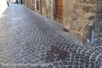 Aggressione nel centro storico di Viterbo - Due giovani accoltellati in via Valle Piatta