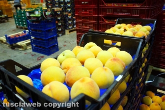 Acquarossa, la zona industriale