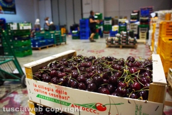 Acquarossa, la zona industriale