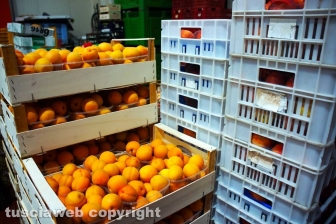 Acquarossa, la zona industriale