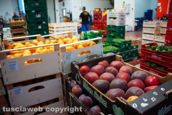 Acquarossa, la zona industriale