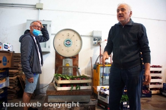 Acquarossa, la zona industriale