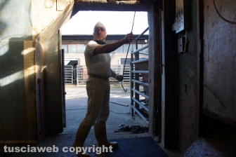 Acquarossa, la zona industriale
