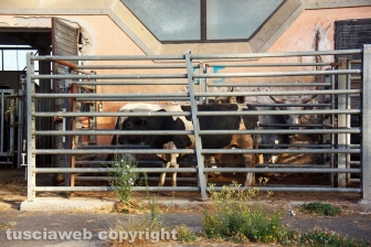 Acquarossa, la zona industriale