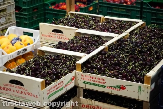 Acquarossa, la zona industriale
