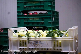 Acquarossa, la zona industriale