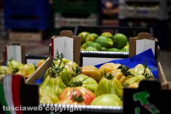 Acquarossa, la zona industriale