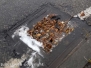 Acquazzone a Montefiascone e a Viterbo, strade allagate e tombini intasati