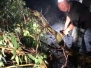  Acquazzoni, raffiche di vento e trombe d’aria