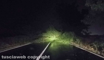 Maltempo - Alberi caduti sulla strada Commenda