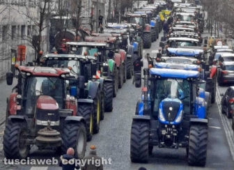 Bruxelles - Agricoltori in protesta davanti all'Europarlamento