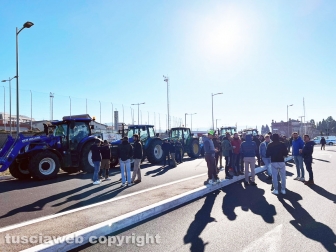 Viterbo - Agricoltori in protesta lungo la Cassia nord