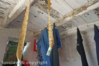 "Aiuto i miei figli con l'elemosina"