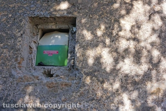 "Aiuto i miei figli con l'elemosina"