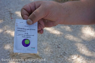 "Aiuto i miei figli con l'elemosina"