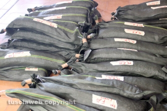 I pesi che saranno posizionati su Gloria