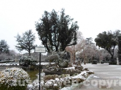 Alba con la neve a Viterbo