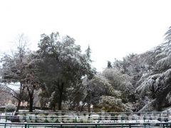 Alba con la neve a Viterbo