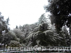 Alba con la neve a Viterbo