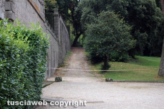 Albero cade sulla fontana del Gambero