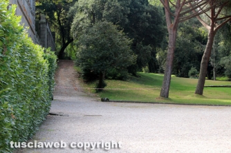 Albero cade sulla fontana del Gambero